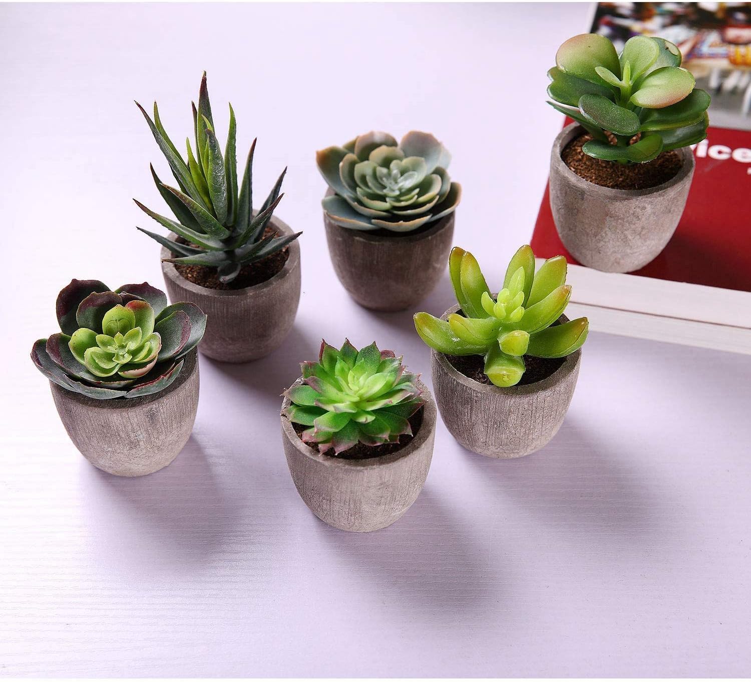 Thumbnail 3 de T4U Mini Artificial Succulent Plants, 6 Pack in Plastic Pots