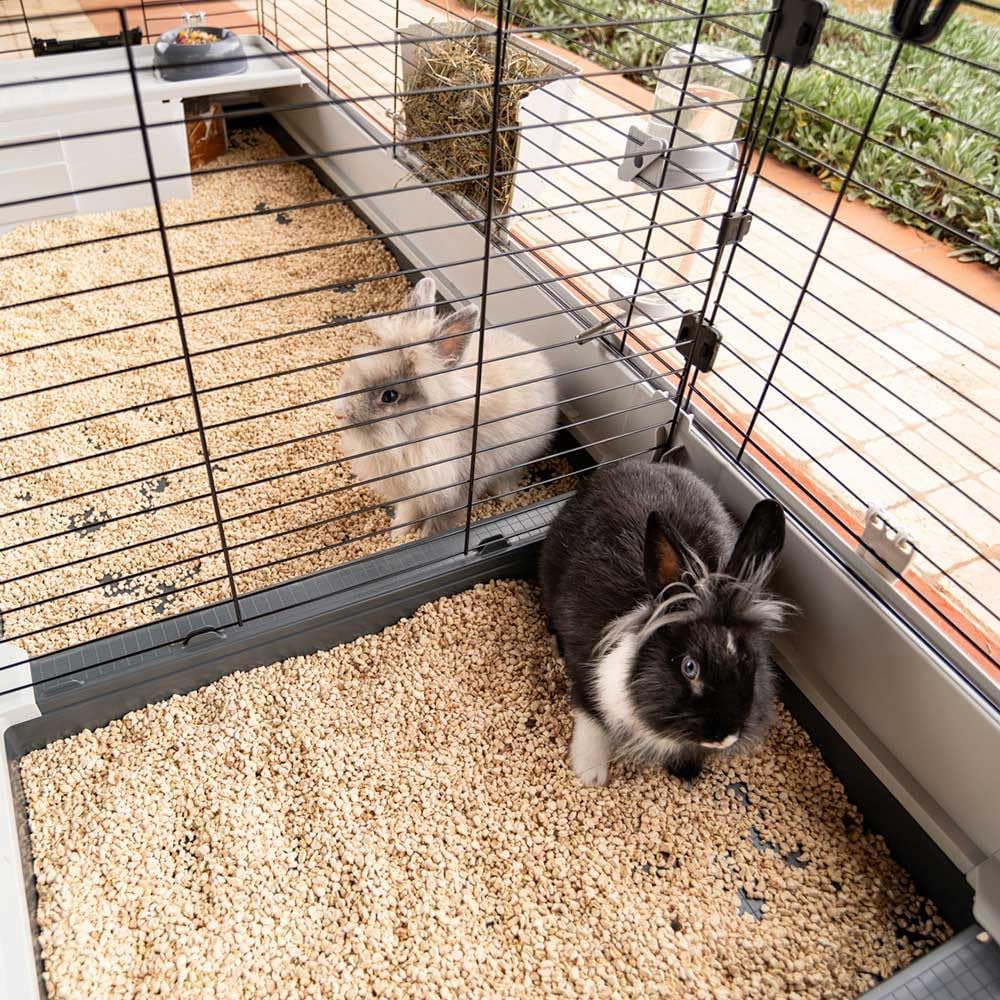 Detalle 2 de Ferplast Krolik 200 cage lapin 205 cm 🐰