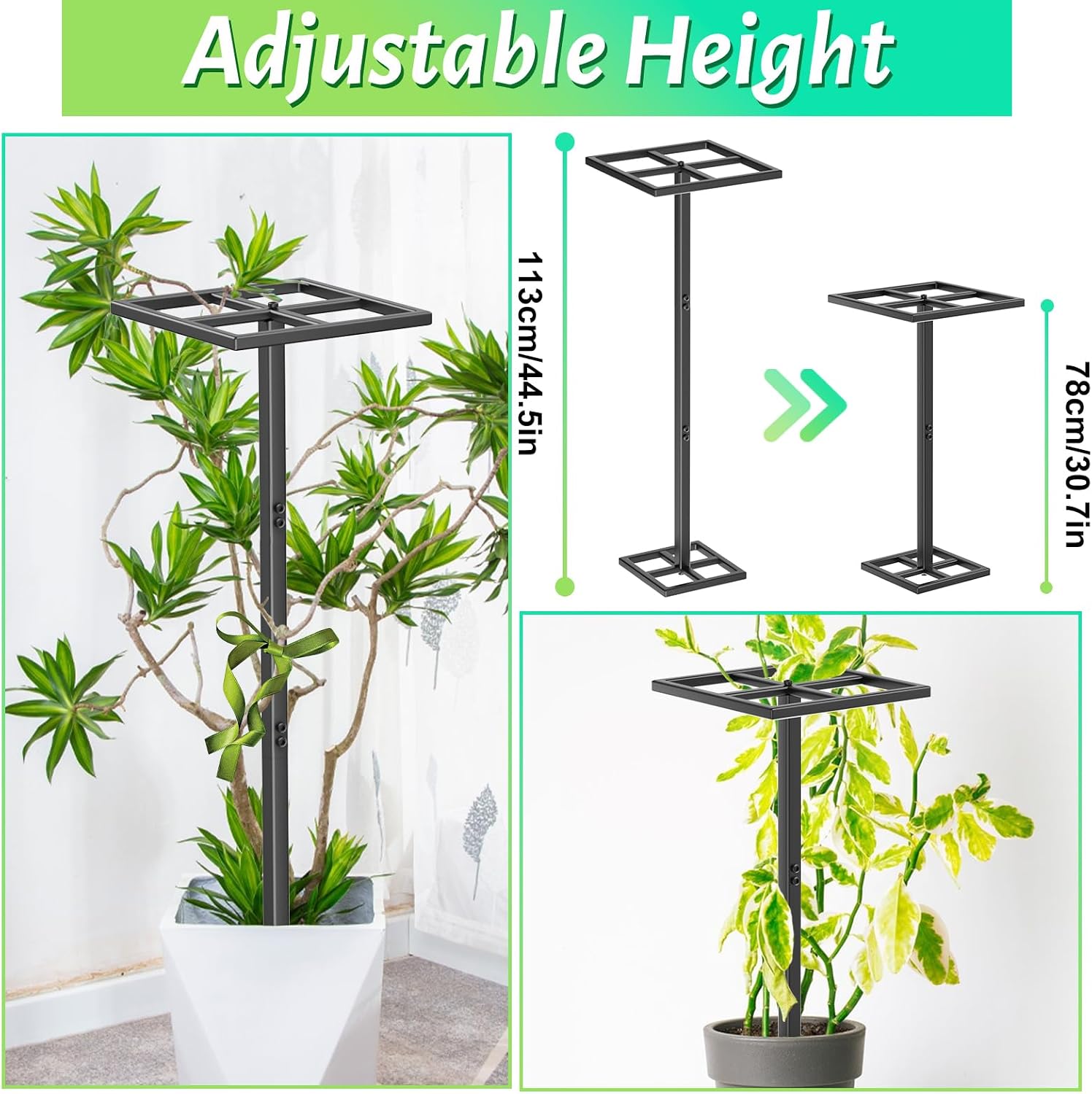 Detalle 2 de ODSNANIE Metal Dragon Fruit Trellis, 44" Adjustable Vertical Support
