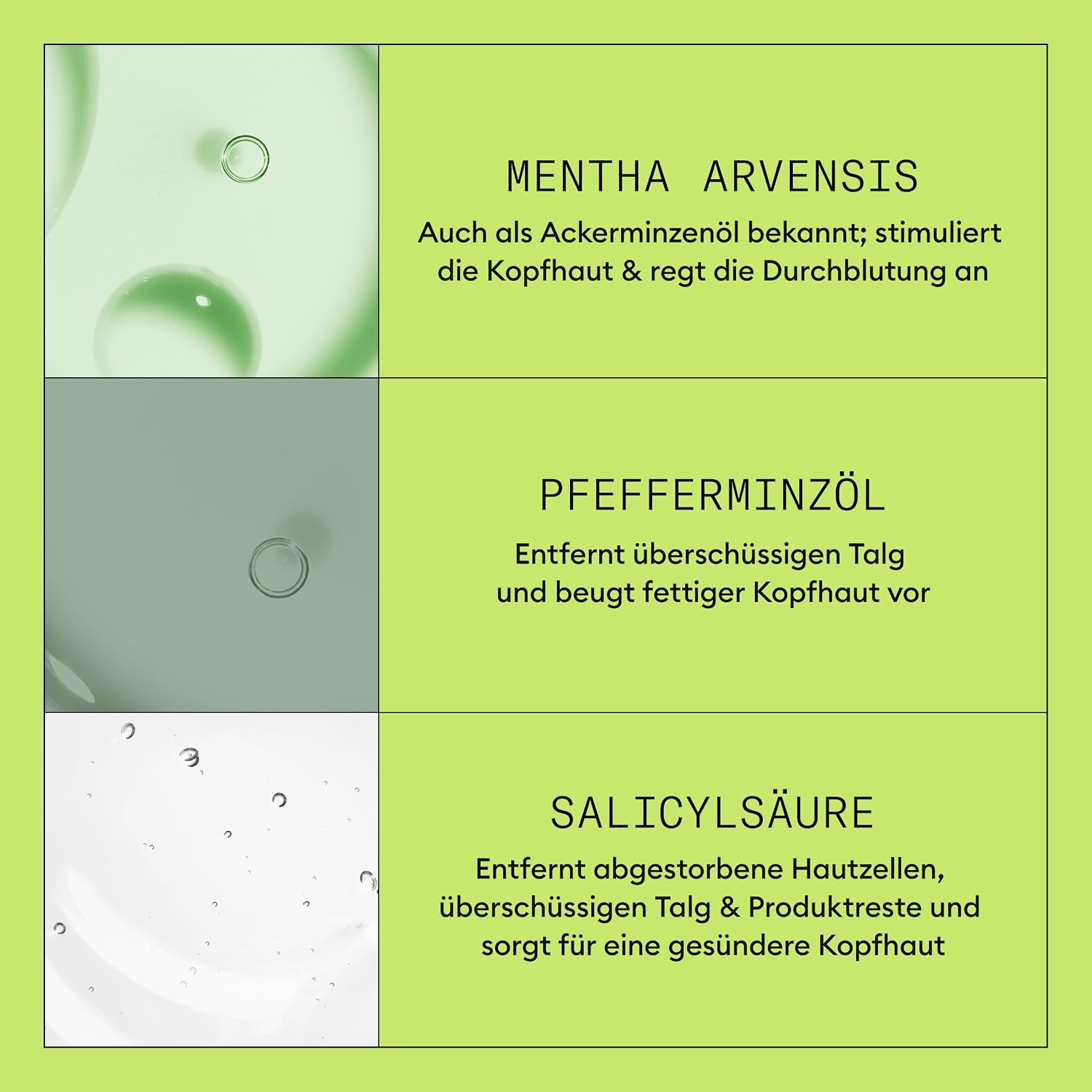 Detalle de Nioxin Scalp + Hair Kit System 2 – Haarpflege für dünner werdendes Haar (Shampoo, Conditioner & Scalp Treatment)