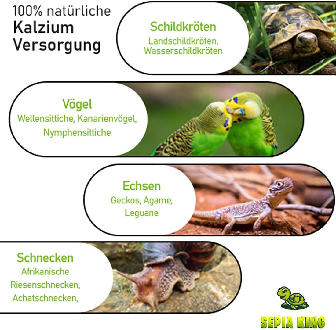 Thumbnail 5 de Sepia King ECO Box Sepiaschalen 12 Stück