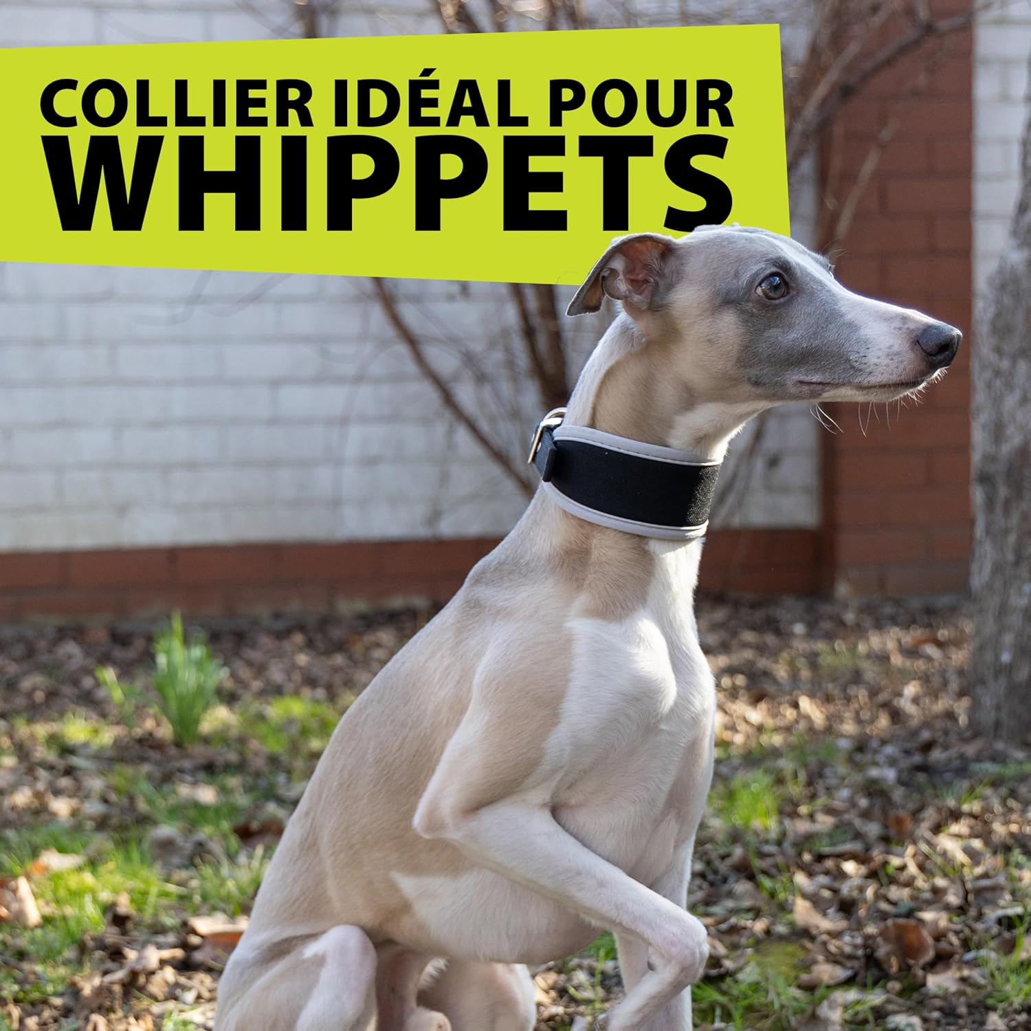 Thumbnail 6 de Ferplast ERGOCOMFORT C15/33 collier chien rembourré