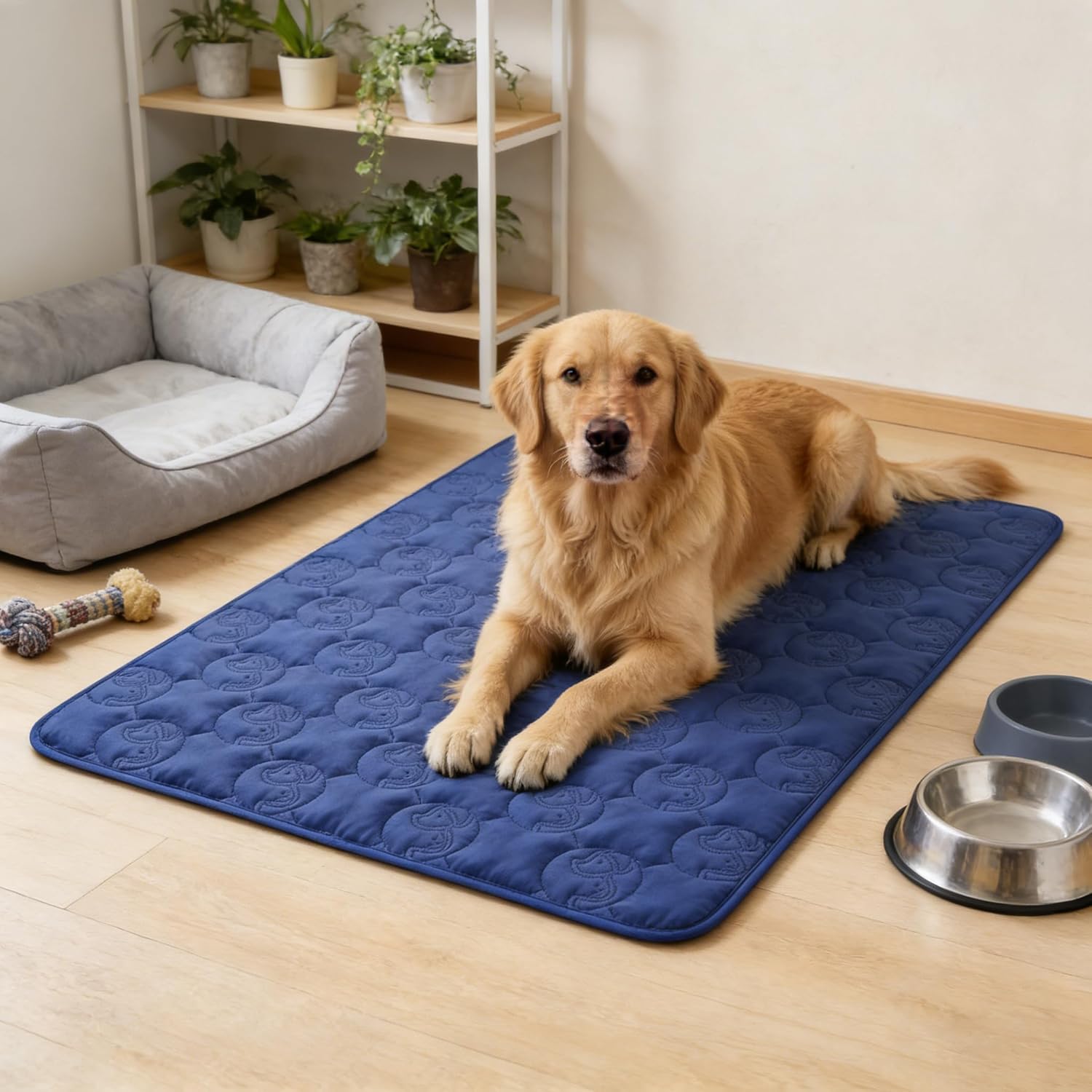 Thumbnail 1 de Pawsee Coperta impermeabile per cani 125 x 75 cm: copridivano lavabile antiscivolo