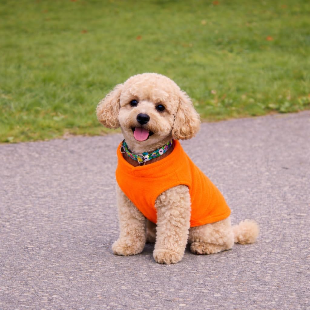 Thumbnail 3 de JACKO & CO Fleece Vest Dog Sweater with Leash Ring (Orange, XL) – Soft, Lightweight Coat for Small to Medium Pets