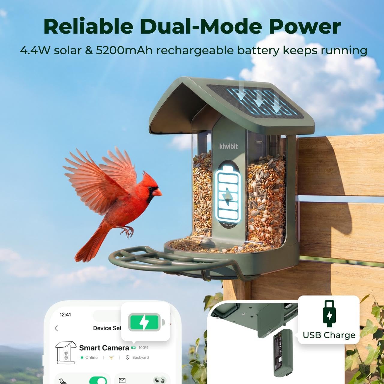 Detalle de Kiwibit Solar Smart Bird Feeder with Camera, 4K HDR Video and AI Bird ID