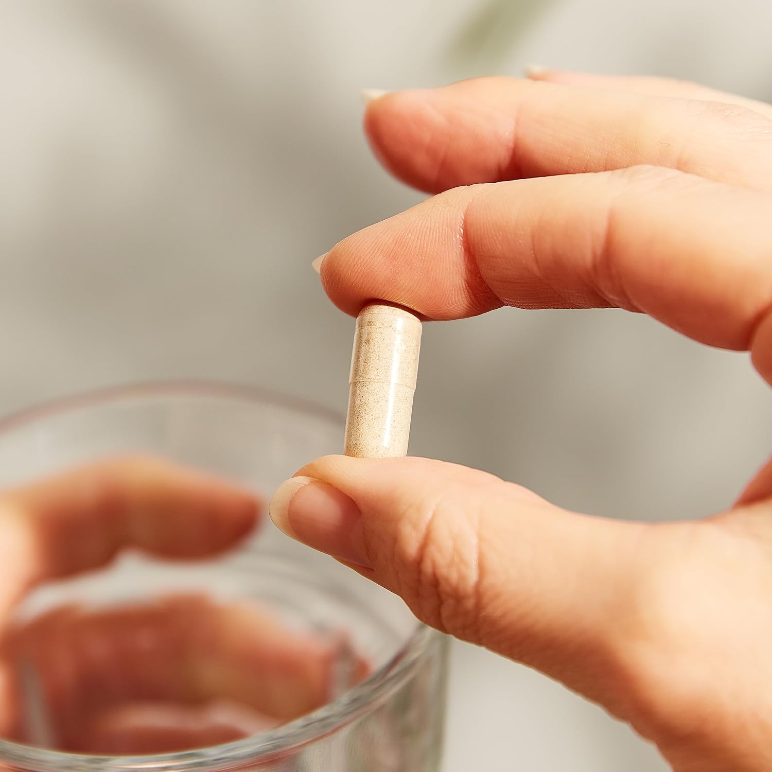 Thumbnail 4 de Solgar Balance Rodiola Complex 🌿, Apoyo Nervioso, 60 Cápsulas