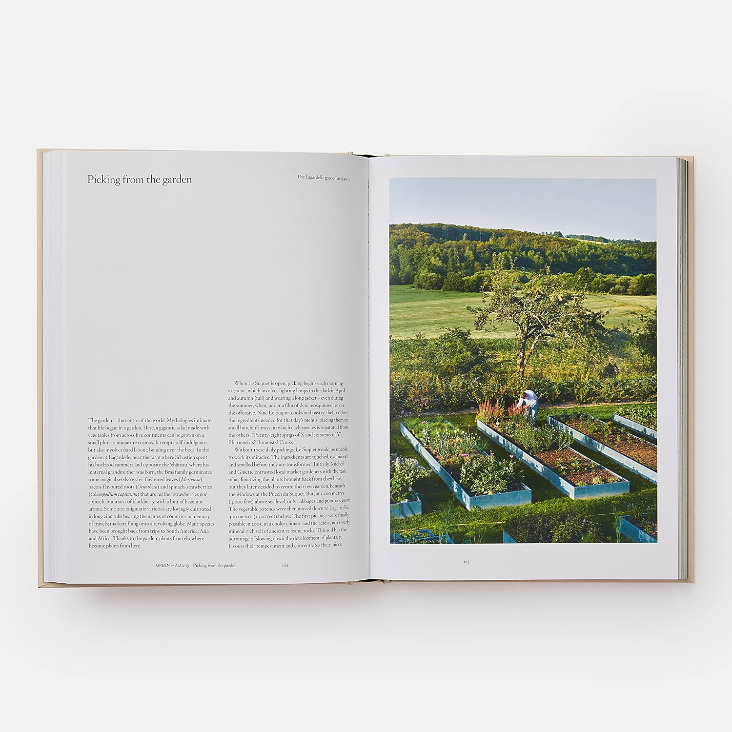 Detalle 2 de Bras, the tastes of aubrac – kookboek over de keuken van Aubrac
