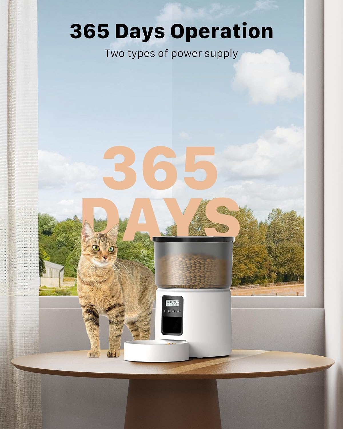 Thumbnail 6 de BEMOONY Automatic Cat Feeder (3L) with 1–6 meal schedule, 10s voice and dual power