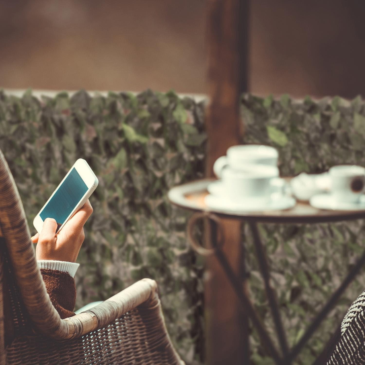 Thumbnail 3 de blumfeldt Fency Dark Ivy Malla Sombrera para Privacidad 🌿