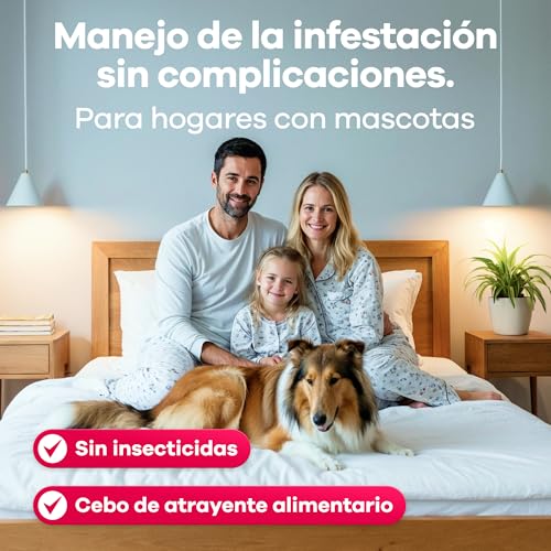 Thumbnail 6 de Gerobug: Trampa adhesiva para chinches de cama (6 unidades) – monitorización sin químicos