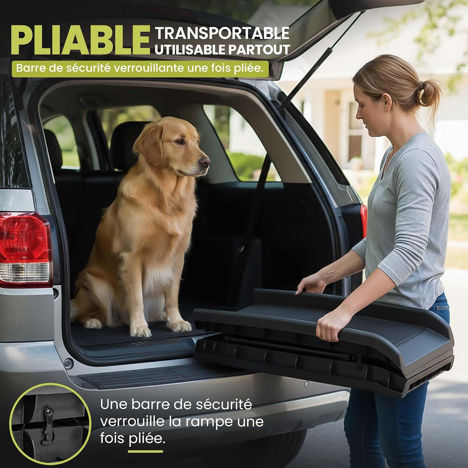 Detalle de all Pets United Rampe pour Chien Pliable – Accès Coffre Voiture