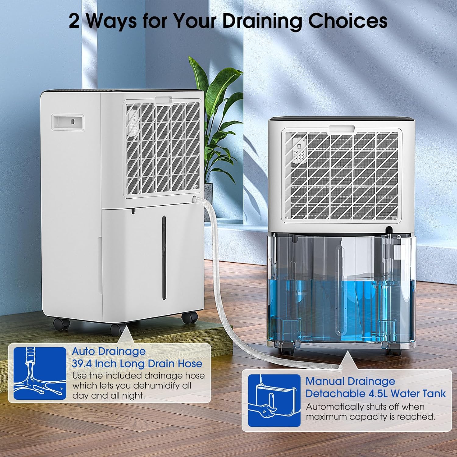 Thumbnail 5 de Hangsun 20L/day Dehumidifier with Timer 🌫