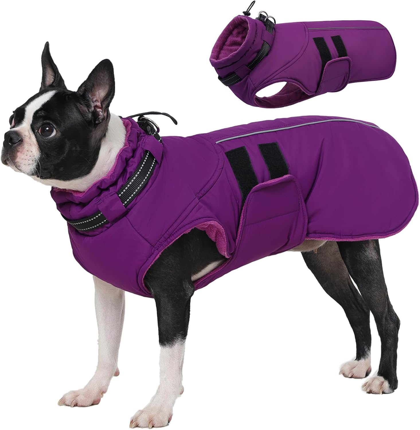 Detalle de IECOii Waterproof Dog Coat, L