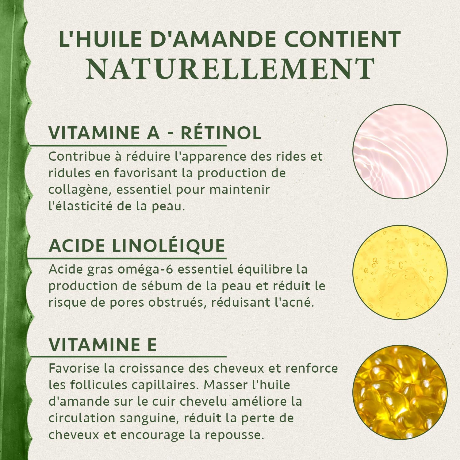 Detalle 2 de Huile d’amande douce Bio 100 ml – Huile hydratante naturelle pour le corps, les cheveux et le massage