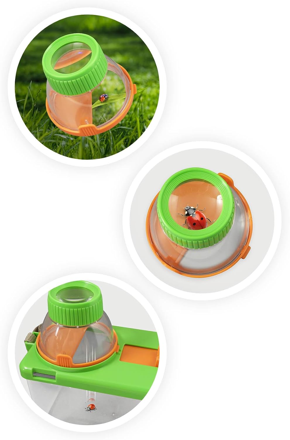 Detalle de BUKI BL034 – Terrarium: Beobachtungs-Set für kleine Lebensräume