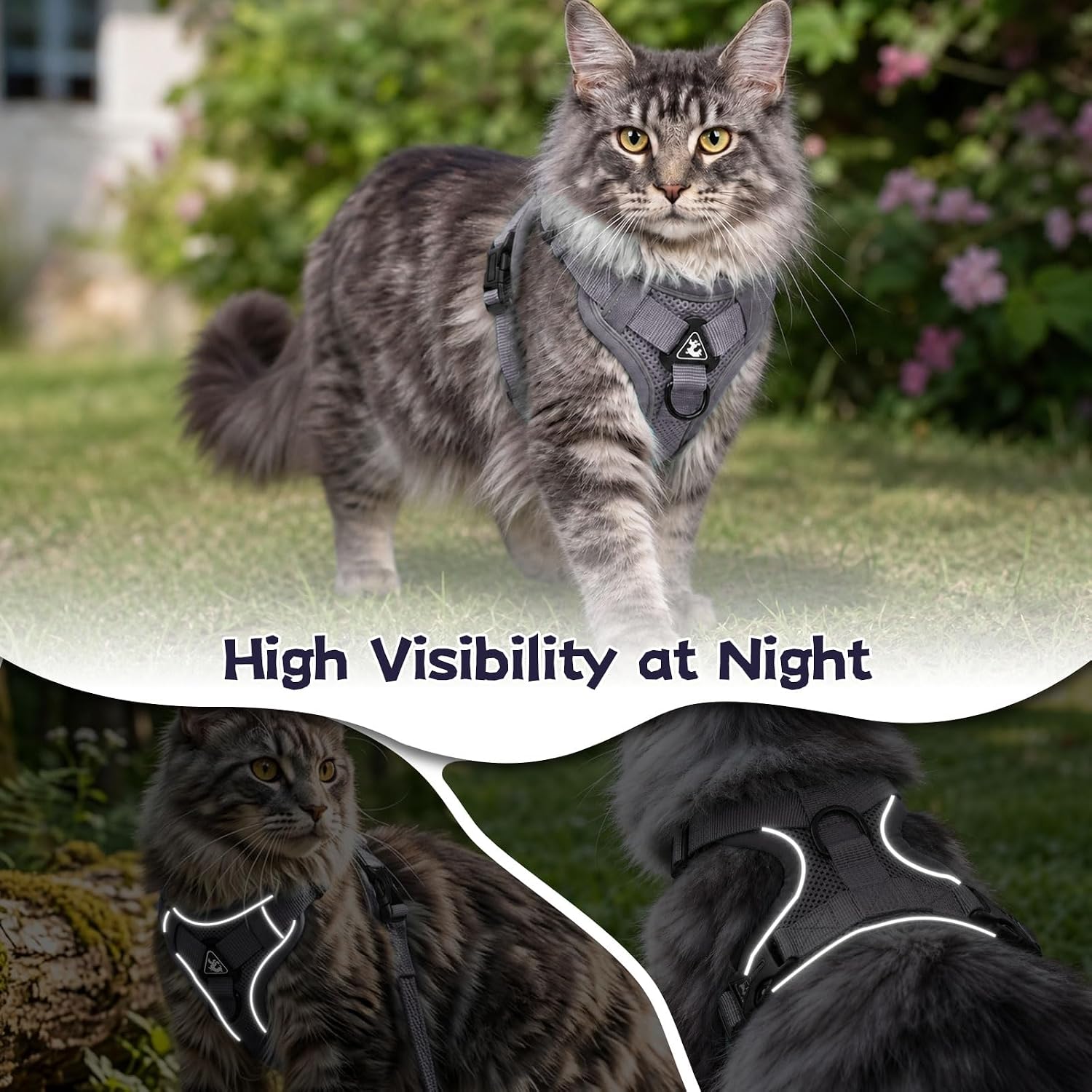 Detalle de Cat Harness and Leash Set M