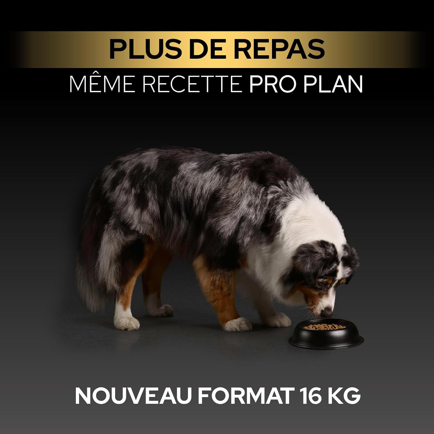 Thumbnail 2 de Purina Pro Plan Sensitive Digestion — Croquettes pour chien adulte taille moyenne, agneau, 3 kg