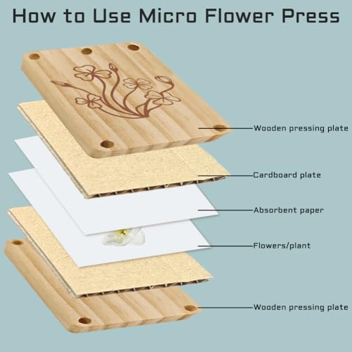 Thumbnail 5 de PRESSINART Kit de Prensado de Flores de Madera: Prensa para Flores Pequeñas en 2.5 × 3.9 pulgadas