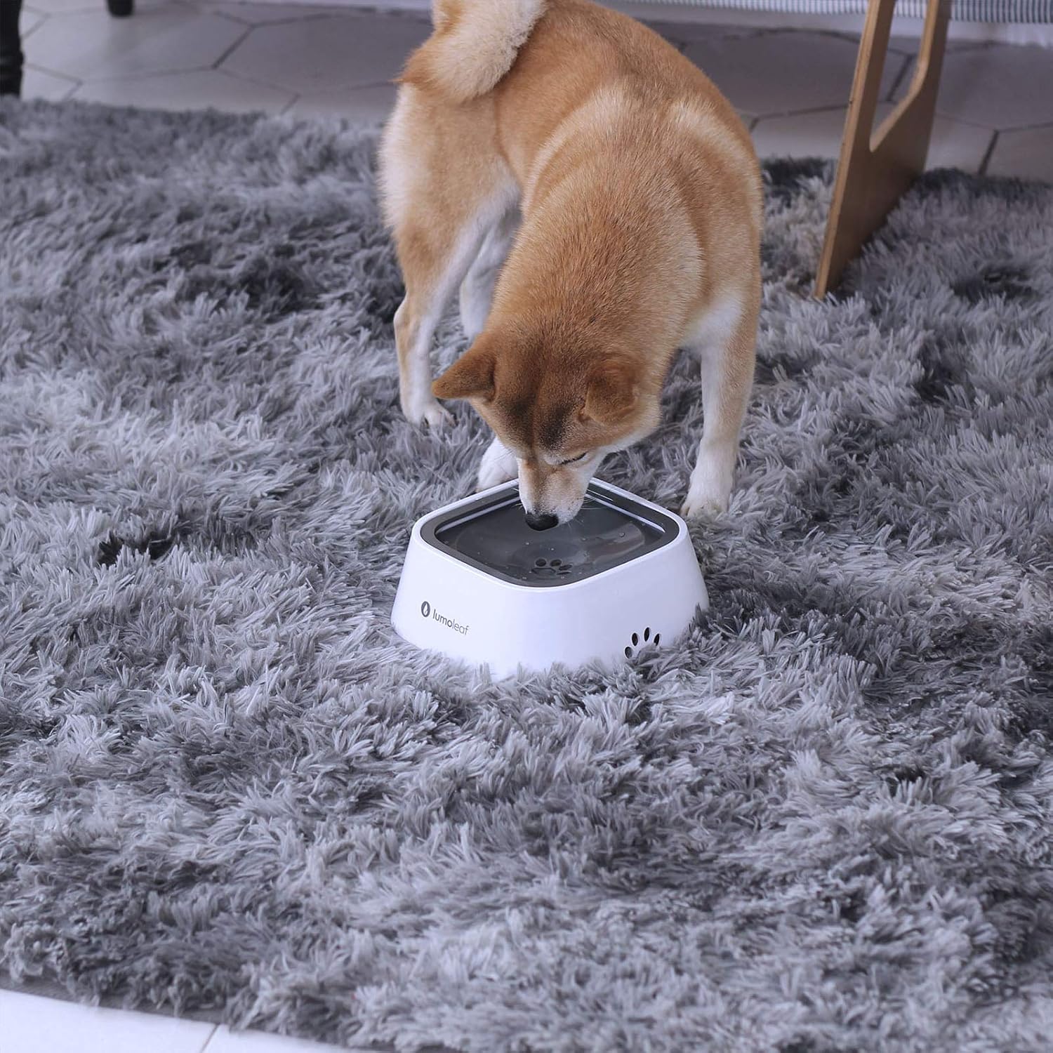 Detalle de LumoLeaf No Spill Water Bowl for Dogs (Slow Feeder, Drip-Free & Splash-Proof) – 1L Grey