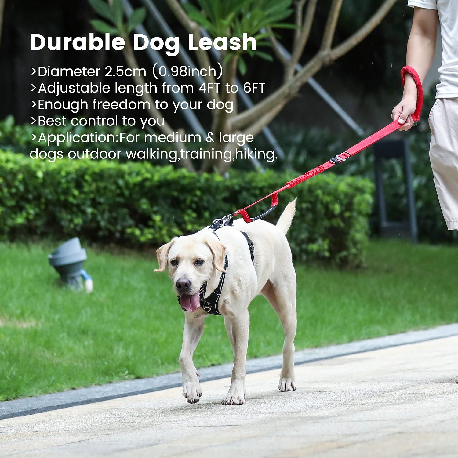 Thumbnail 6 de IOKHEIRA Red Zinc Alloy Dog Lead