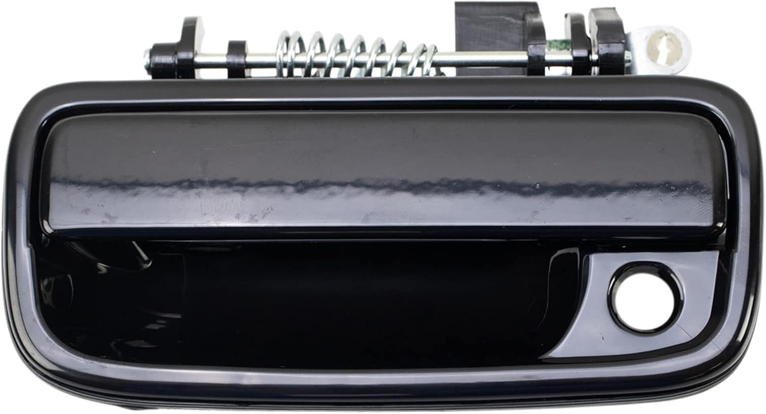 Detalle de TRQ Exterior Door Handle Black