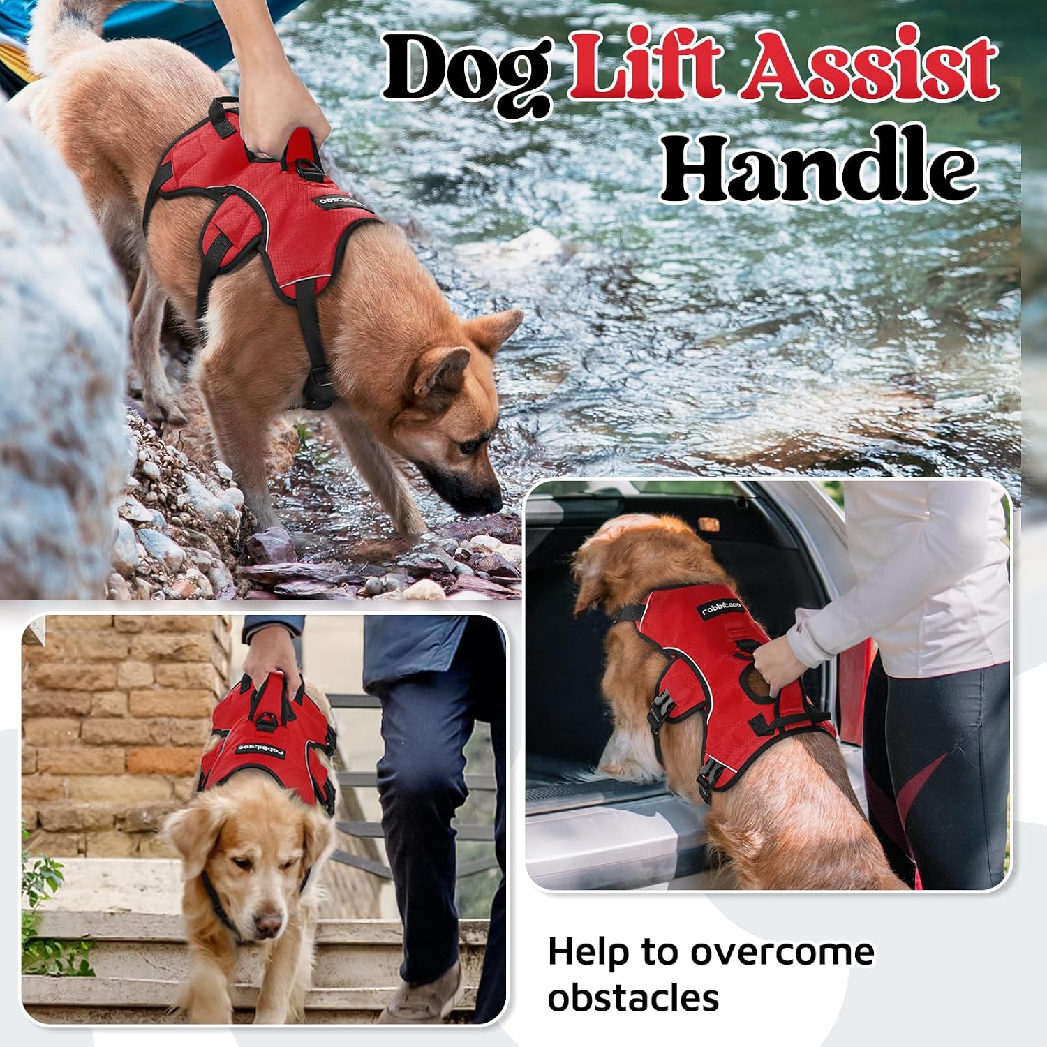 Detalle 2 de Rabbitgoo Escape Proof Dog Harness Medium with Large Handle – Secure Lift Assist and Anti-Pull