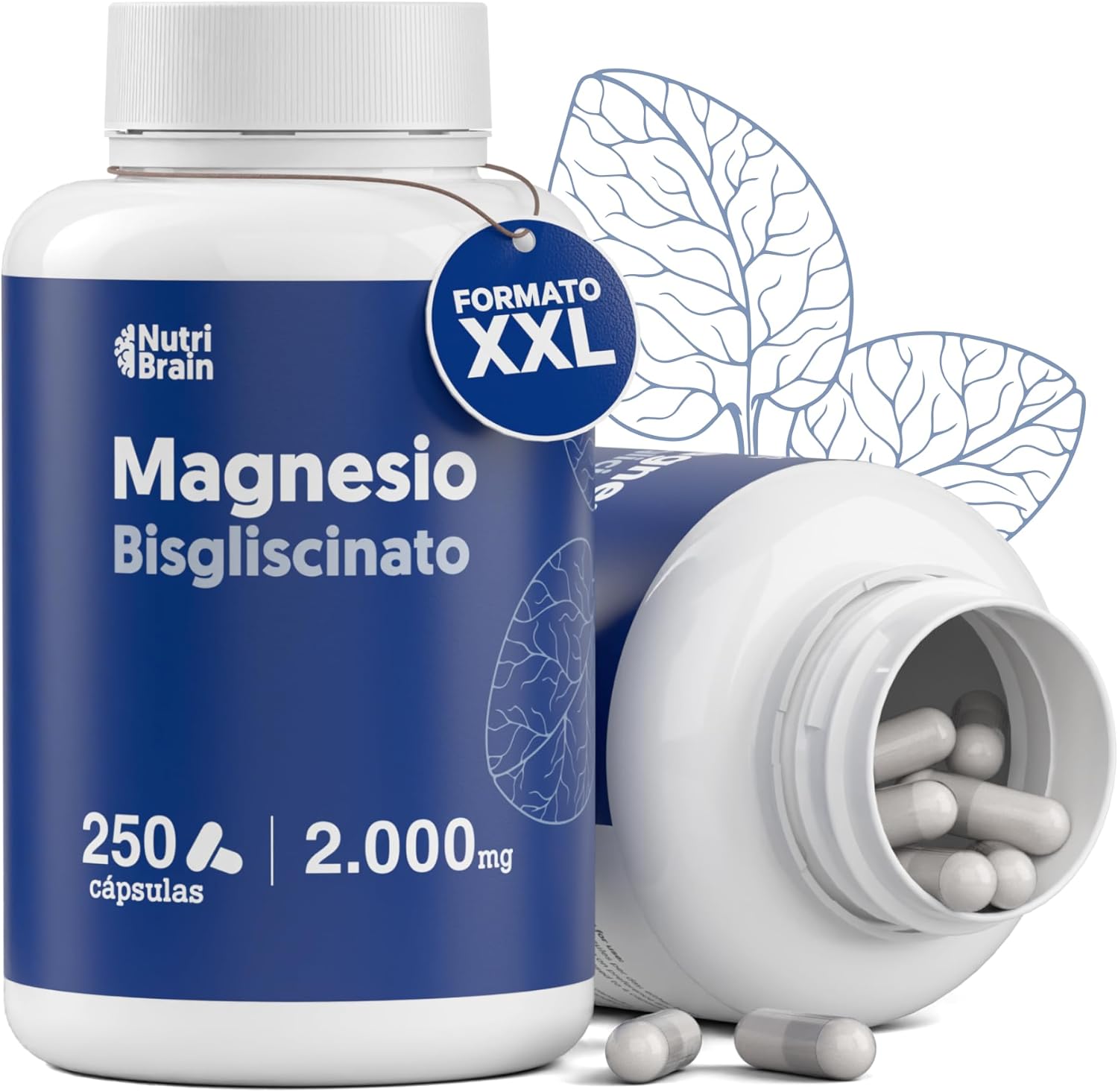 Detalle de NUTRIBRAIN Magnesio Bisglicinato 250 cápsulas