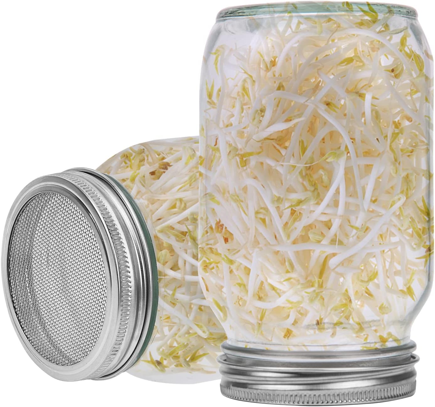 Thumbnail 5 de Hisredsun Seed Sprouting Jar Kit 1000ml 🌱