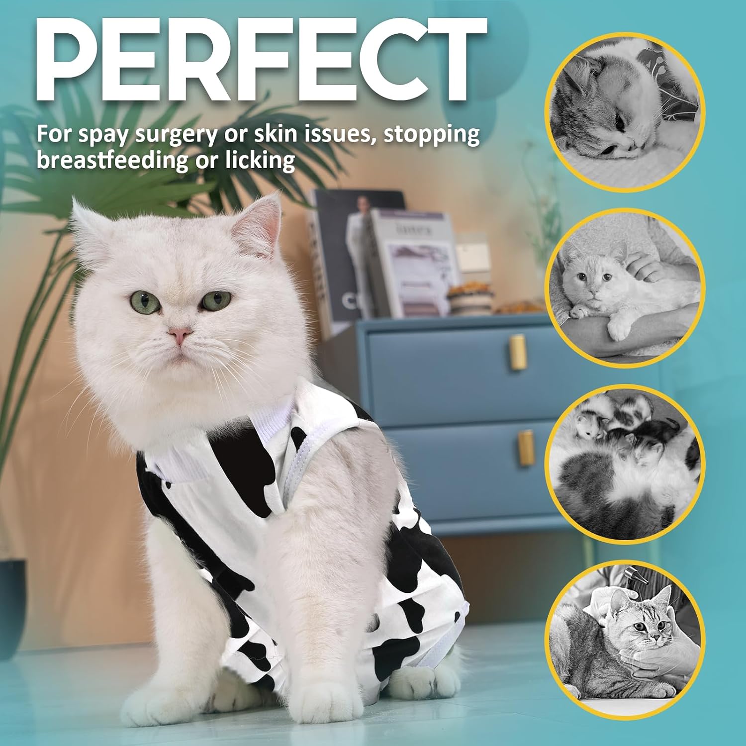 Detalle de Avont Katzenbody nach OP Erholungsanzug – elastischer Modal-Recovery-Suit für Katzen