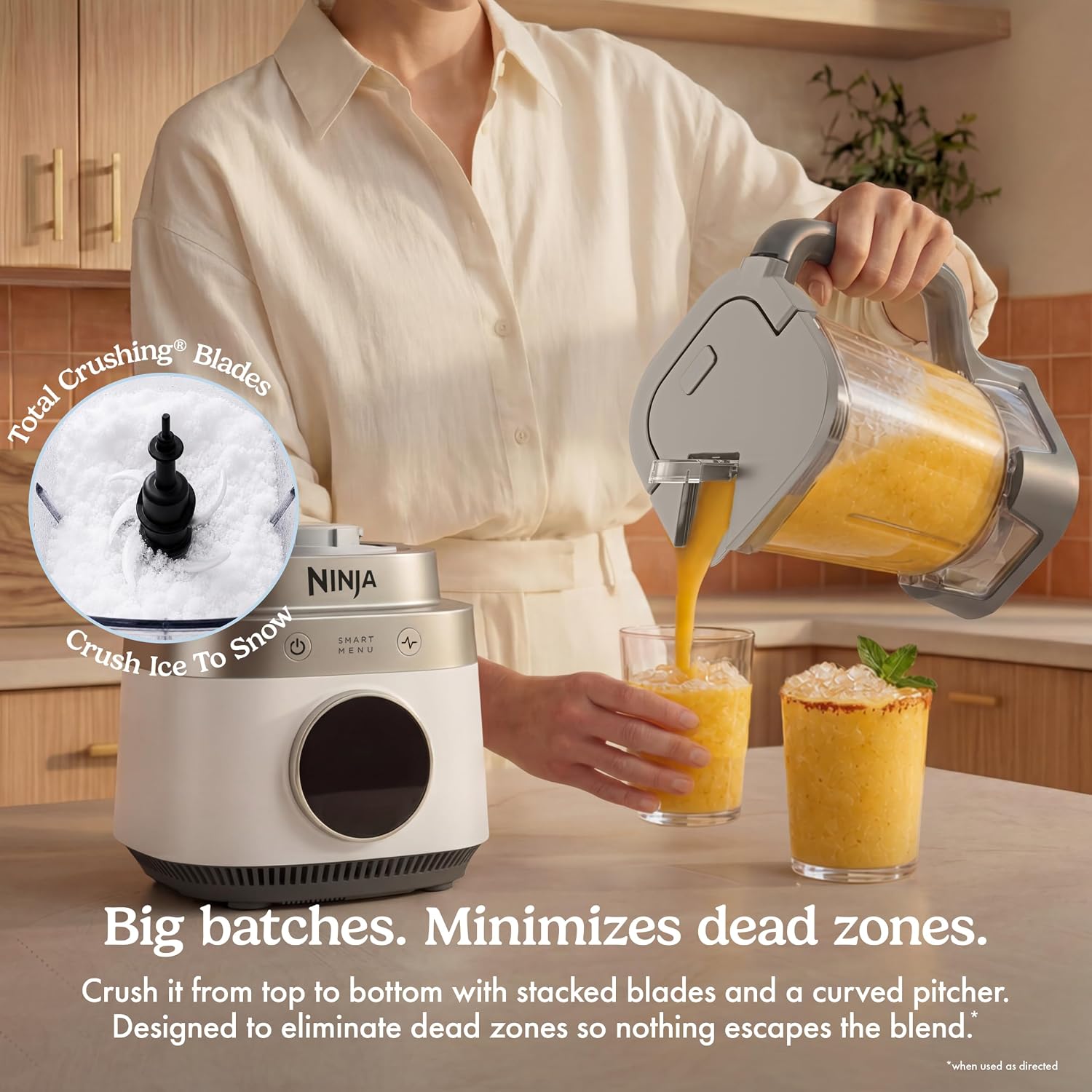 Detalle 1 de Ninja Blender with 72-oz Pitcher