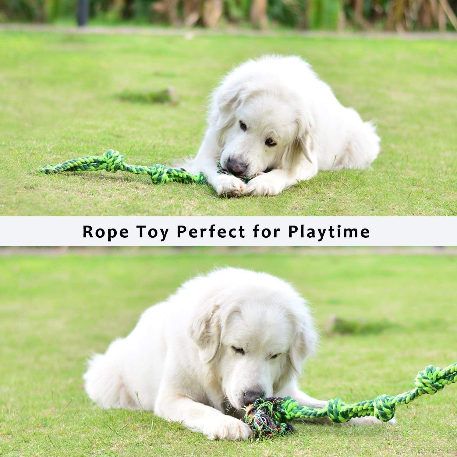Thumbnail 3 de SHARLOVY 5-Knot Cotton Rope Tug Dog Toy (Extra Large, for Large & Aggressive Chewers)