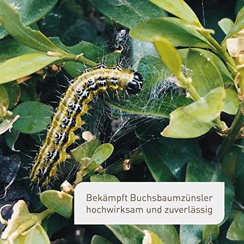 Thumbnail 1 de Plantura Xentari Raupenfrei & Zünslerfrei – Biologisches Spritzmittel gegen Buchsbaumzünsler, 8x2 g