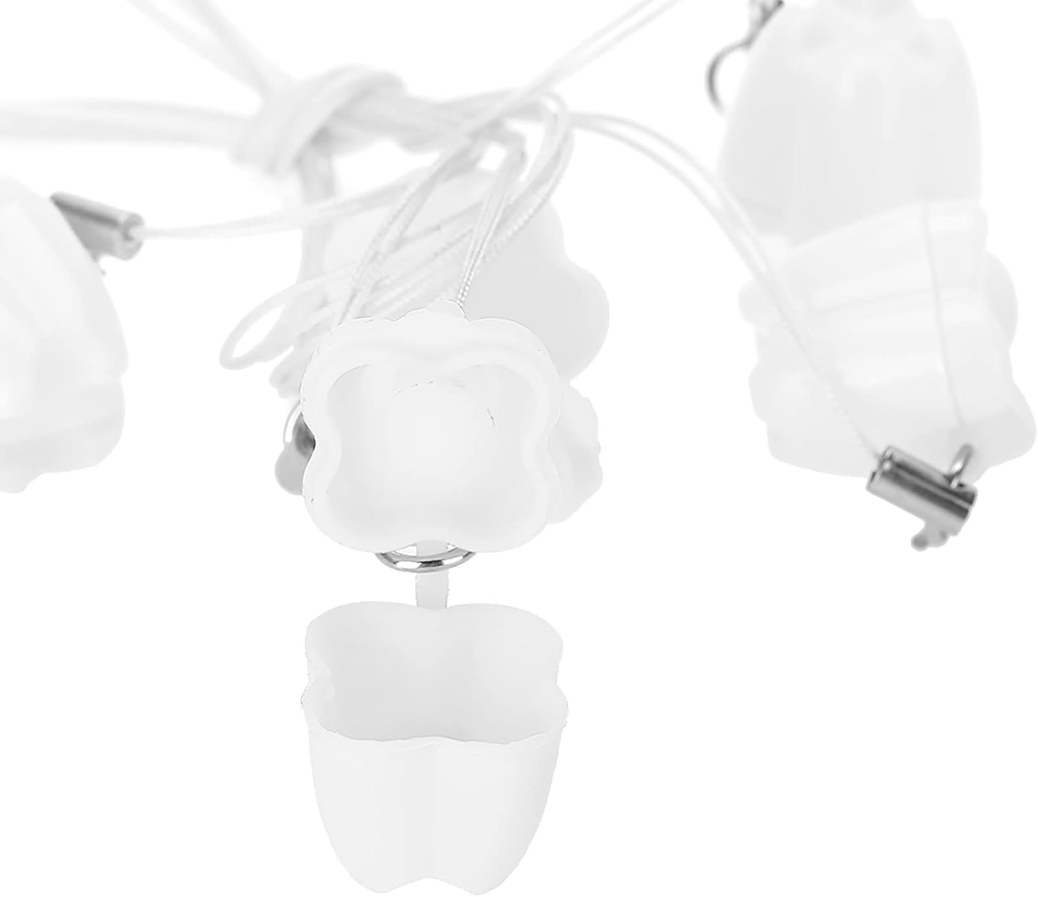 Detalle de FILFEEL FILFEEL0hv89b1gsr410-03 – 5 białych pojemników na mleczne zęby