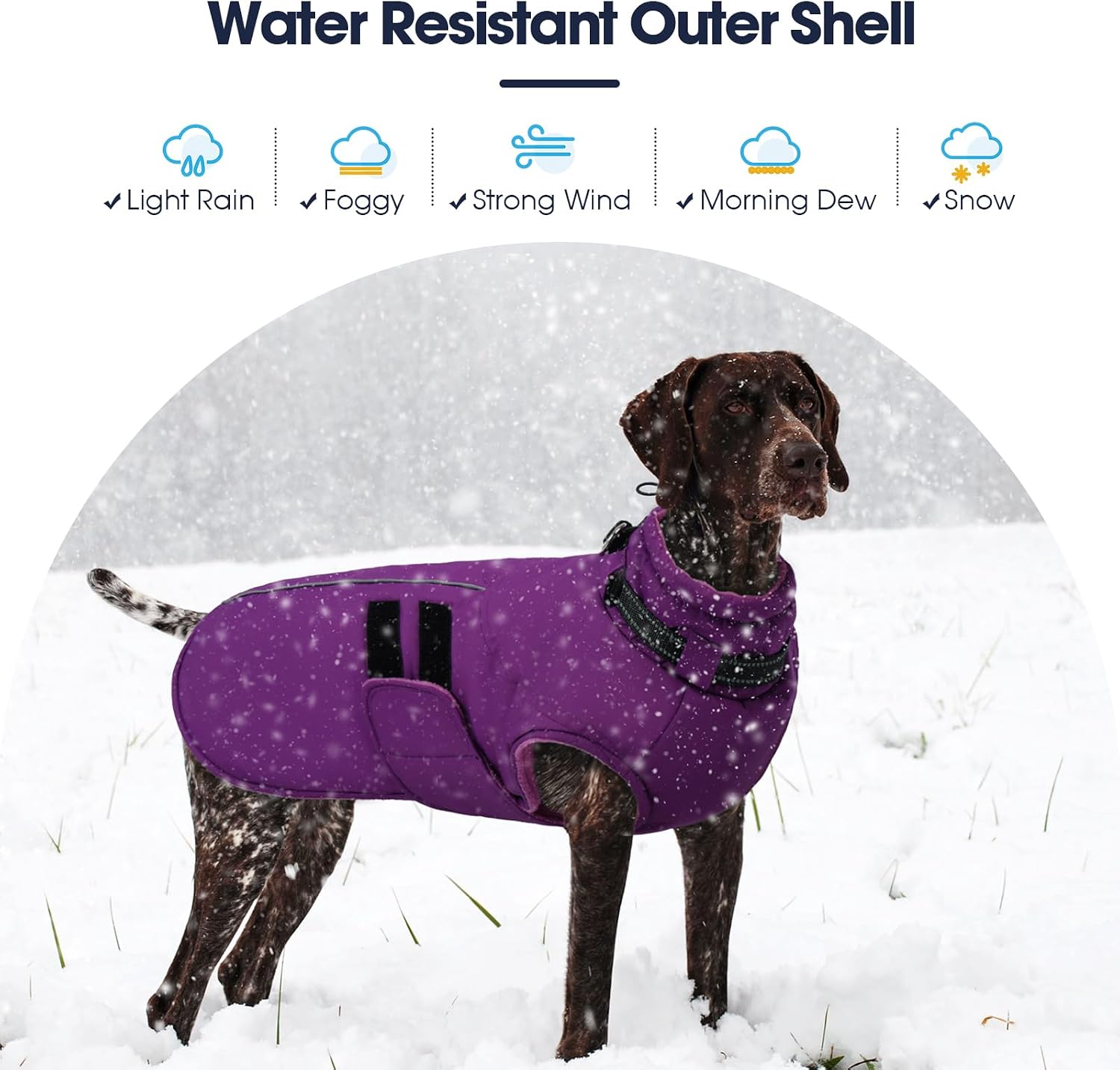 Detalle de IECOii Waterproof Dog Coat, L