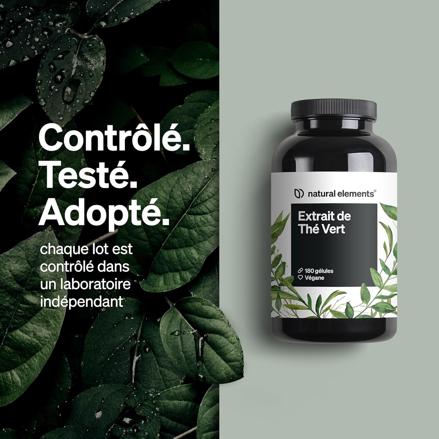 Detalle de Extrait de thé vert hautement dosé – 180 gélules (1998 mg par dose journalière), riche en EGCG et polyphénols