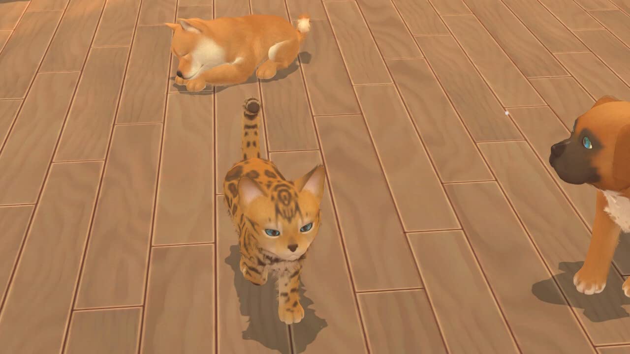 Detalle de My Universe – Hunde- und Katzenbabys für Nintendo Switch: Rassen, Mini‑Spiele und Betreuung