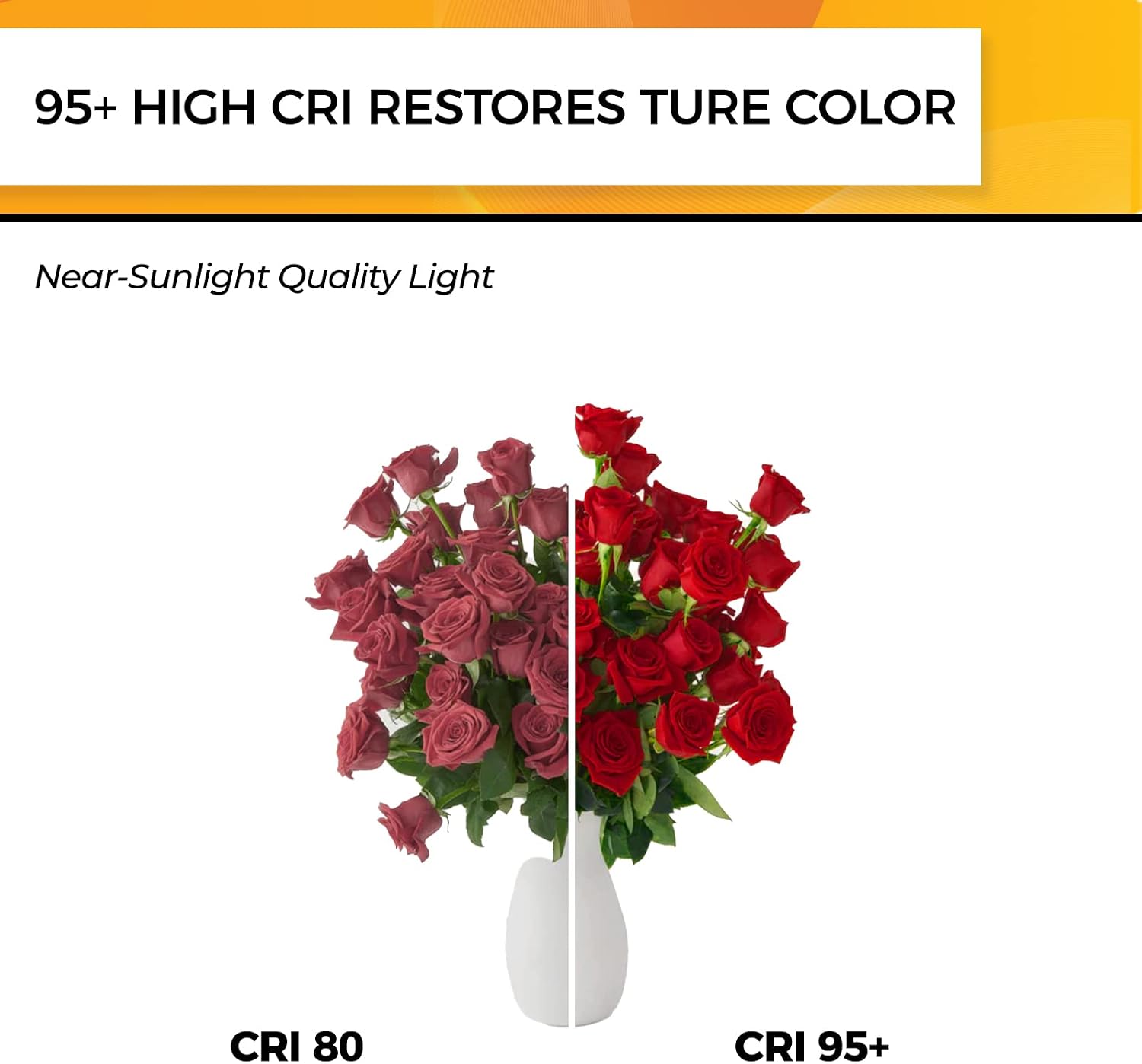 Thumbnail 4 de Hizashi LY-ST58-6W-W-90-C Dimmable E26 LED Edison Bulbs, 12-Pack