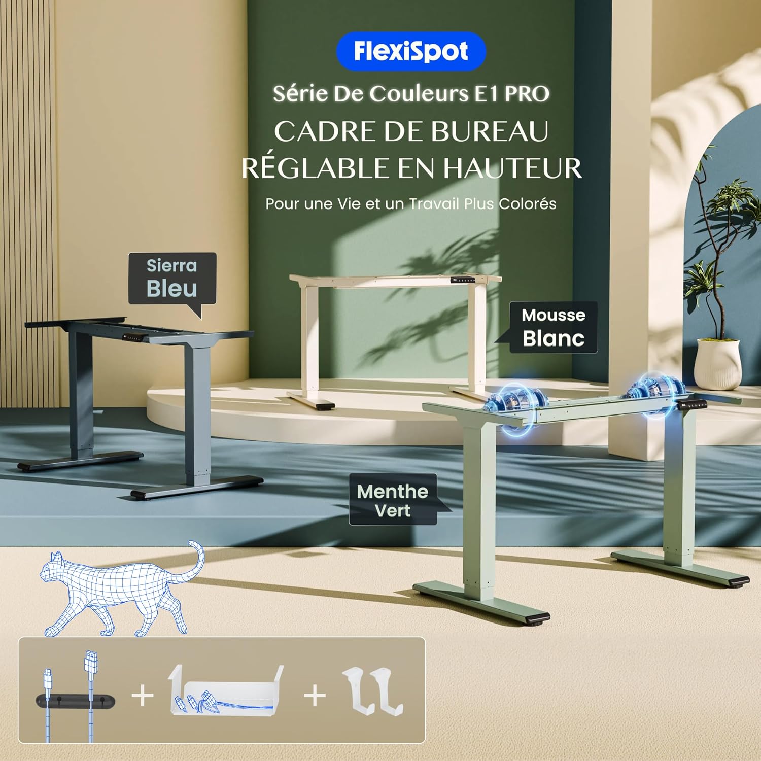 Thumbnail 2 de FLEXISPOT Bureau assis-debout à 2 moteurs (charge 100 kg) avec panneau à mémoires, vert