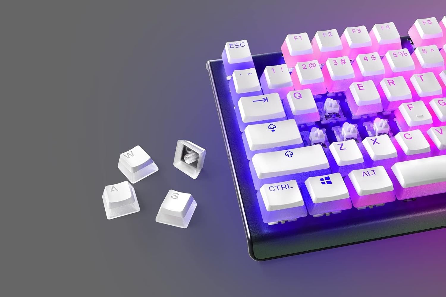Thumbnail 5 de SteelSeries PrismCaps Copritasti Pudding MX