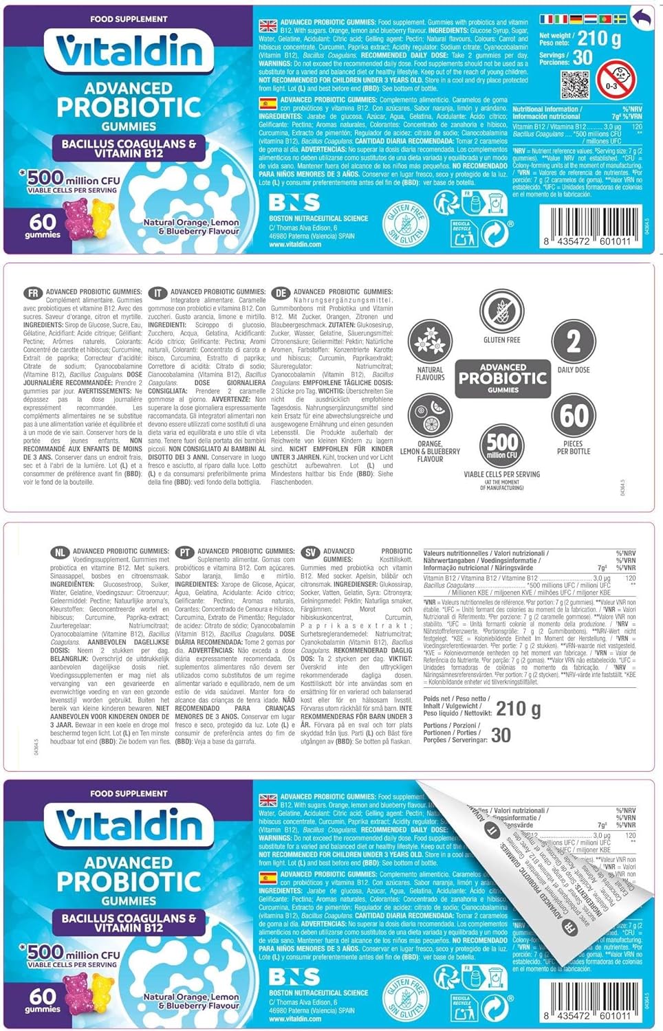 Thumbnail 6 de VITALDIN Probiotique Gummies – 500 millions d'UFC Bacillus Coagulans par dose + Vitamine B12, 60 gommes – saveur Fruits