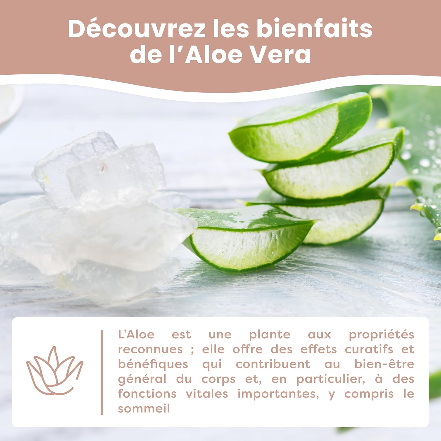 Thumbnail 6 de MIMUSELINA Oreiller mémoire de forme 50x30x5,5 cm pour bébé et enfant avec housse Aloe Vera amovible