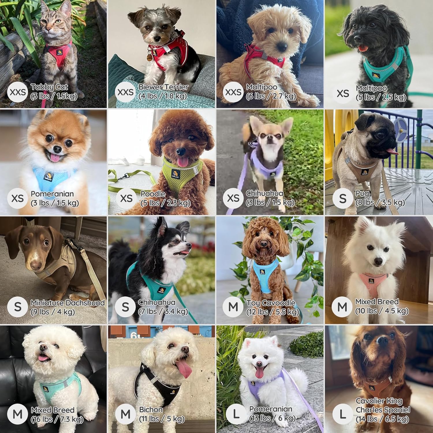 Thumbnail 5 de BELLA & PAL Step-in-Hundegeschirr aus Air Mesh für kleine Hunde (Mokka), Größe S