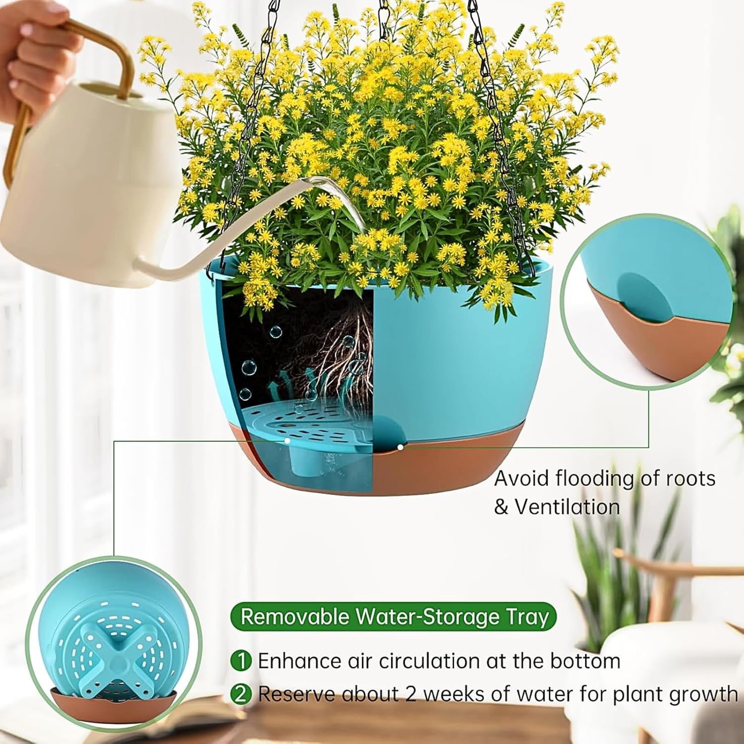 Detalle de Kvetto Hanging Planters, 10-Inch