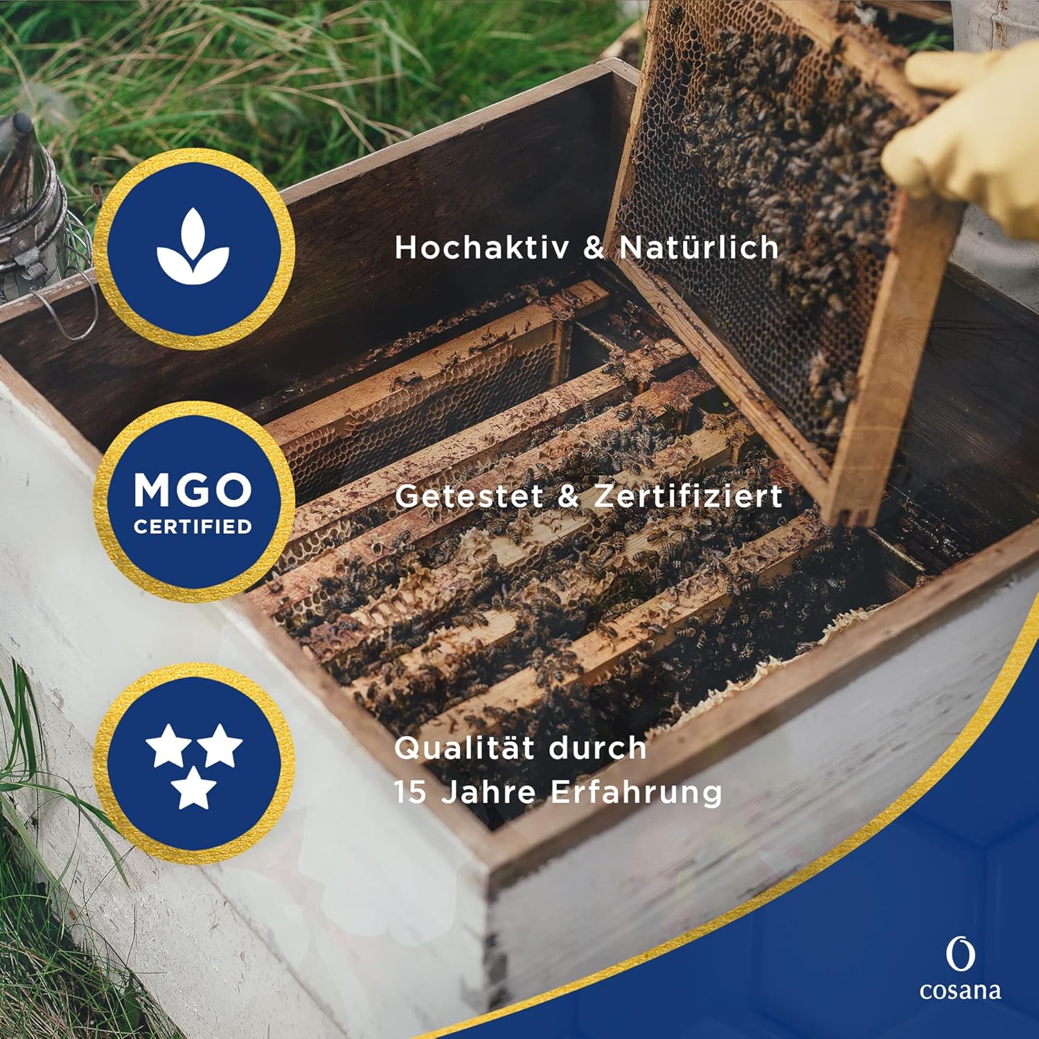 Detalle de Cosana Manuka Honig 250 g 🍯