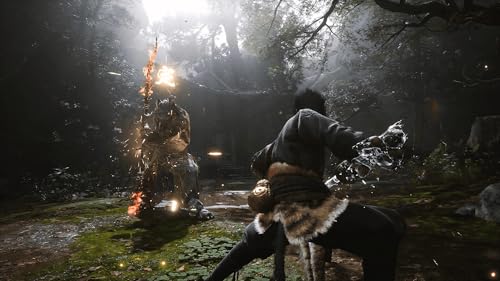 Detalle de Black Myth: Wukong - PS5 (Edición física) de PM Studios