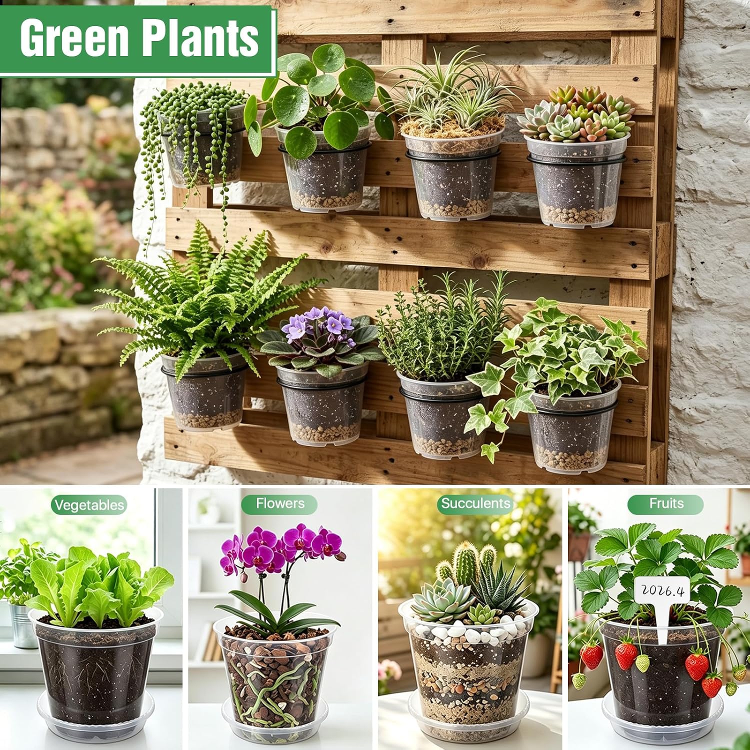 Thumbnail 6 de Clear Nursery Pots, 5-inch