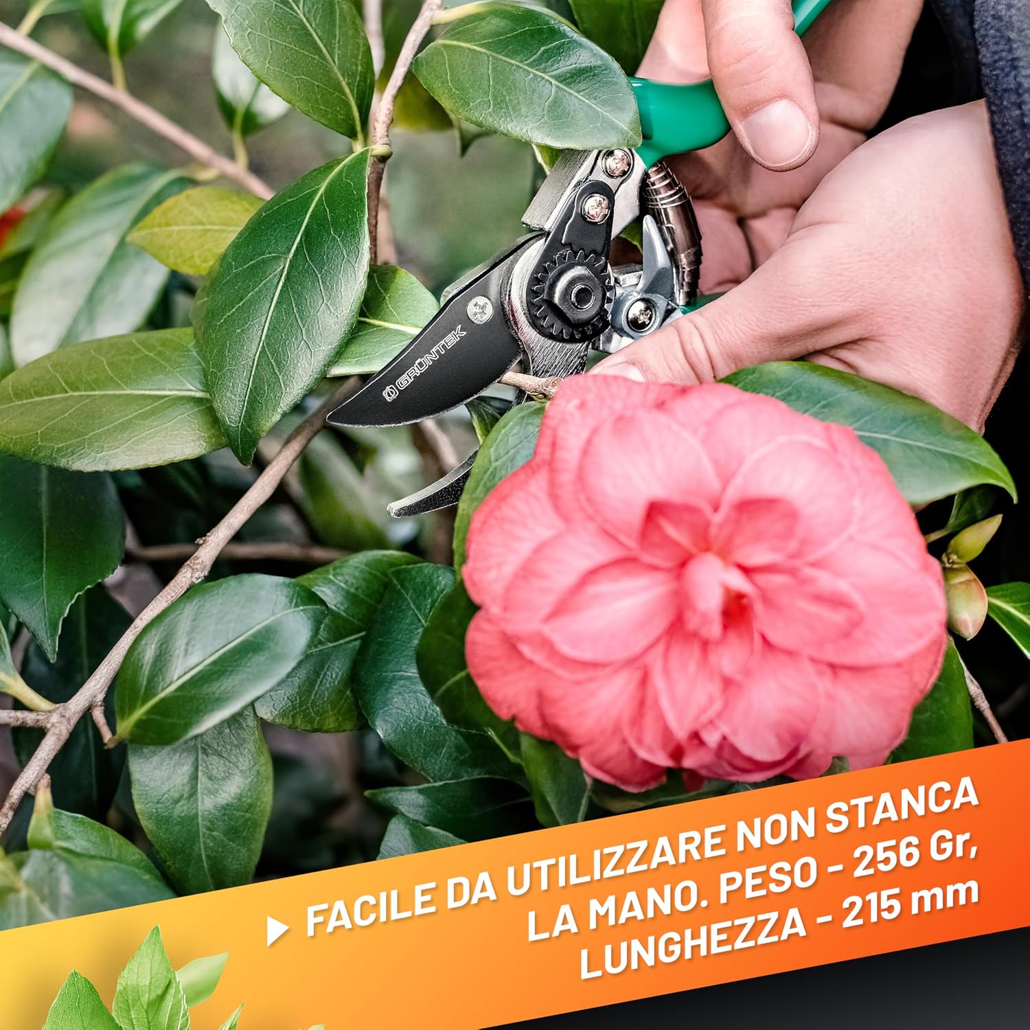Thumbnail 5 de GRÜNTEK Falco Forbici da Potatura 215 mm: taglio bypass, lama SK-5 e manici ergonomici