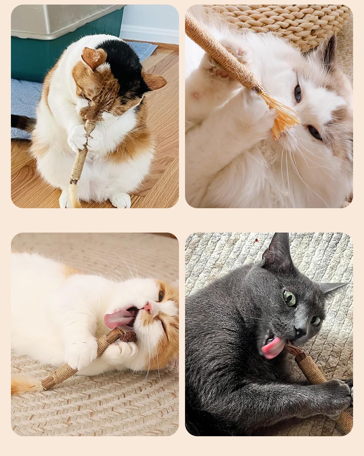 Thumbnail 6 de Nepfaivy Katzenspielzeug Katzenminze Sticks – 6 Stück Silbervine-Kauspielzeug für Katzen