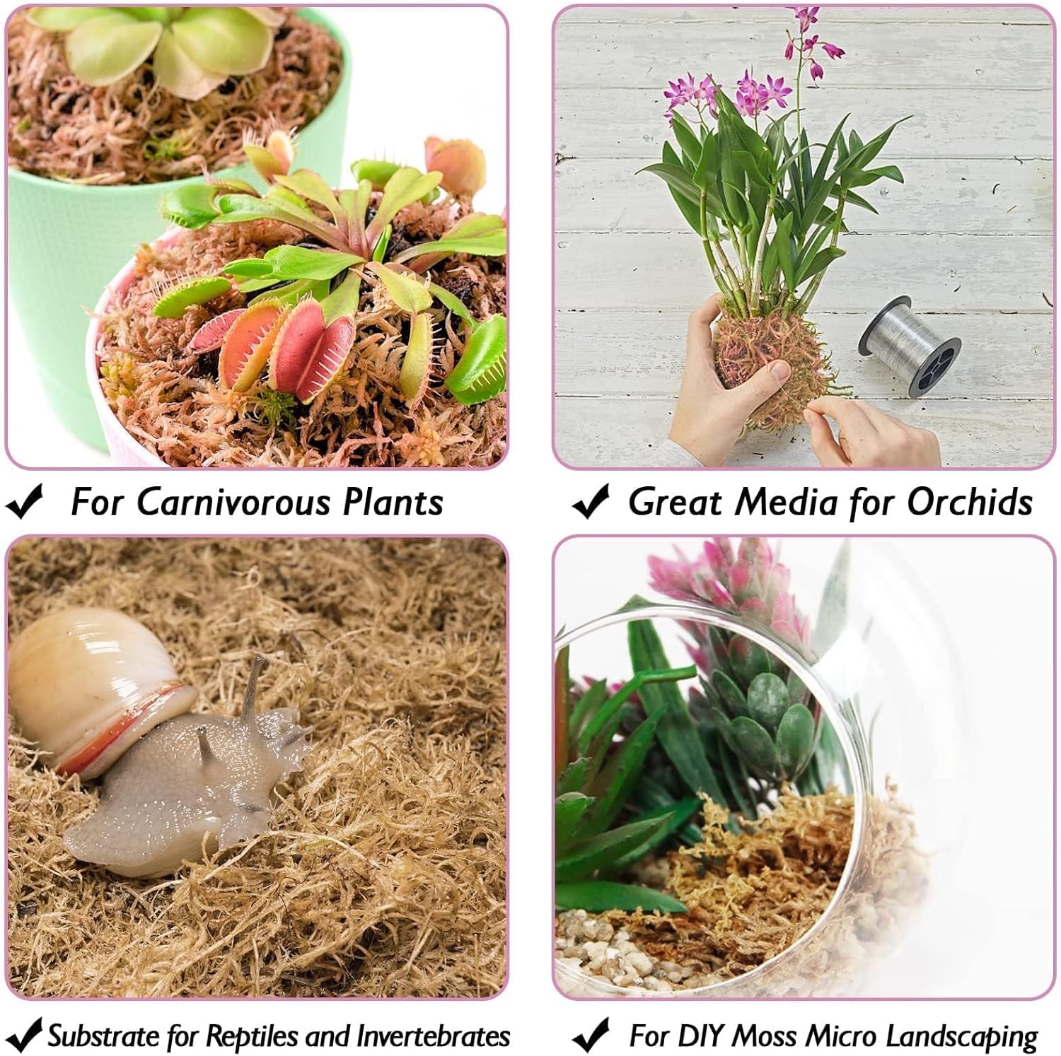 Thumbnail 5 de Halatool 1000g Premium Sphagnum Moos – Vielseitiges Torfmoos für Orchideen, Terrarien und Zimmerpflanzen