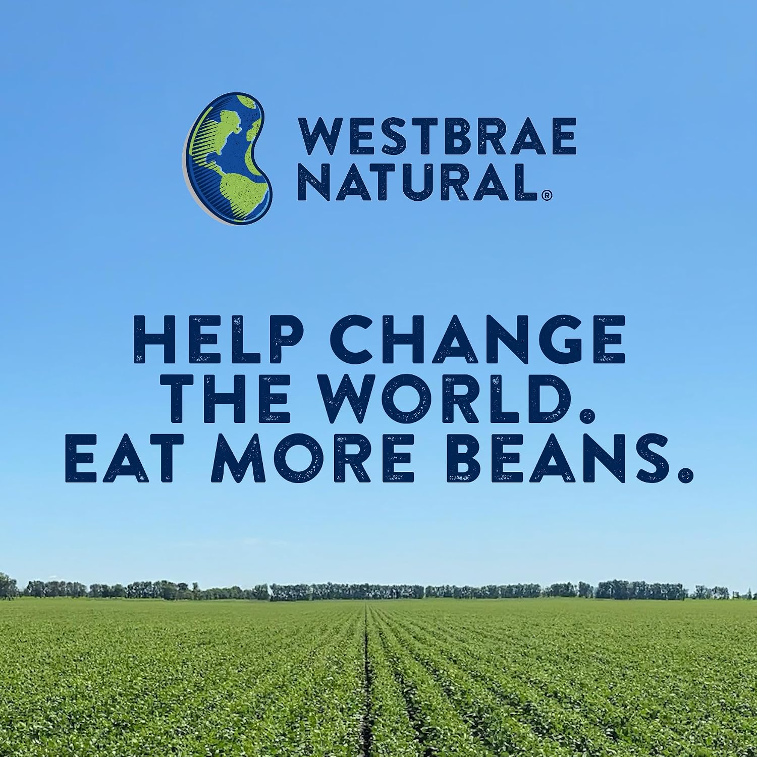 Thumbnail 6 de Westbrae Natural Organic Black Lentils, 12-Pack of 15 oz Cans